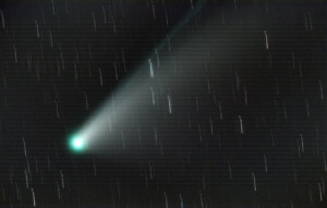 Cometa Neowise