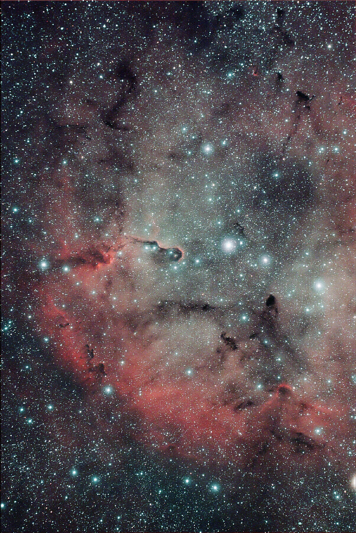 Nebulosa IC 1396 nel Cefeo