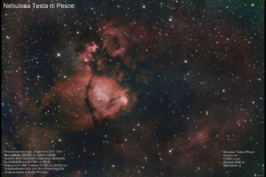 Nebulosa Testa di Pesce – IC1795