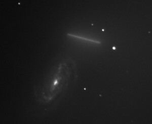 Cometa Iawamoto C/2018 Y1 e galassia Ngc2903
