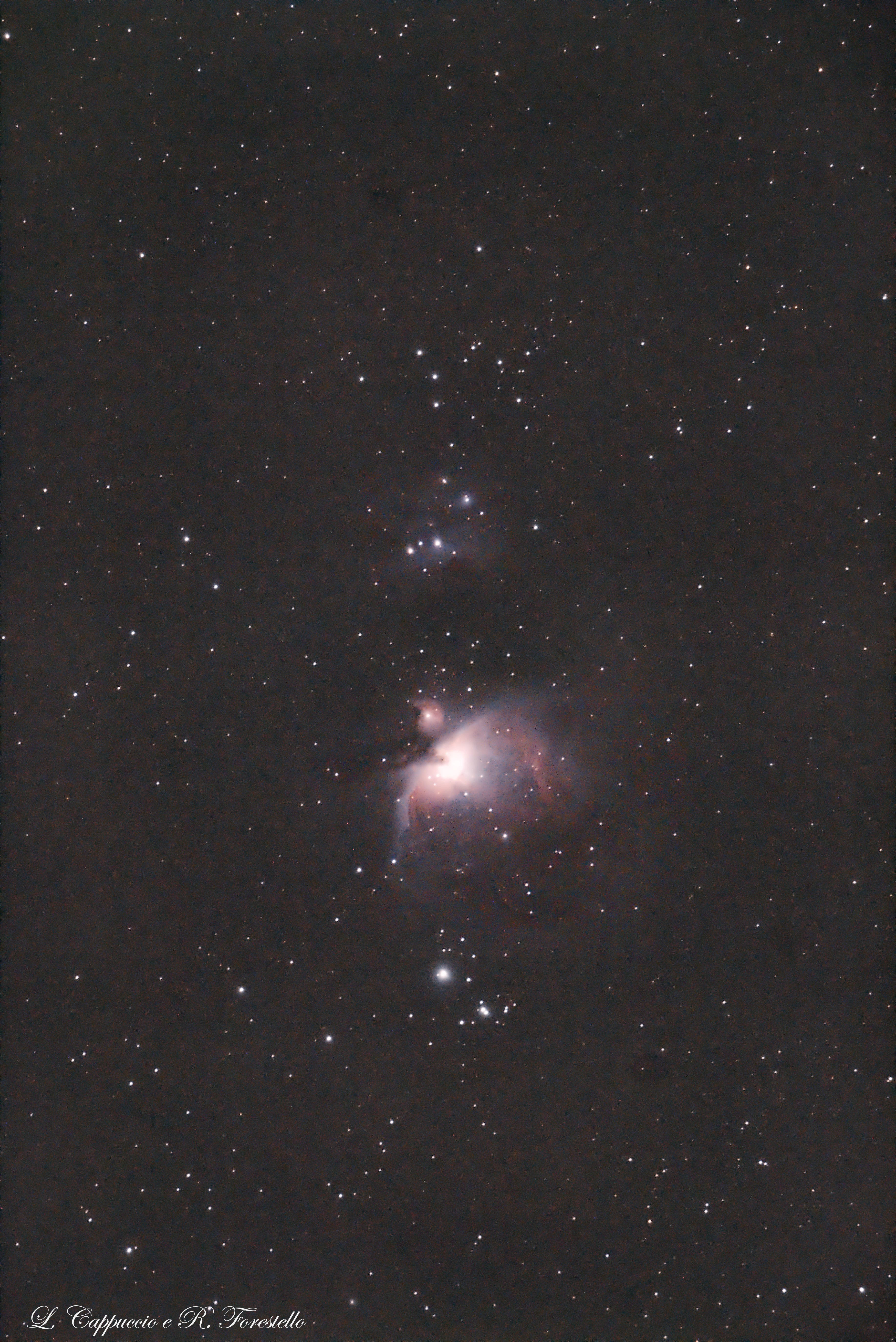 Nebulosa di Orione o M42