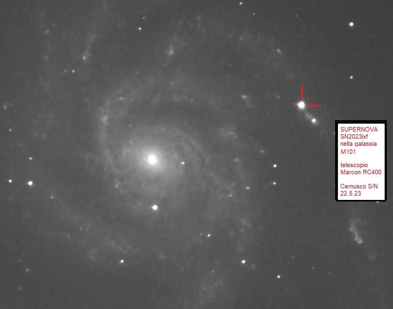 Supernova in M101 SN2023ixf