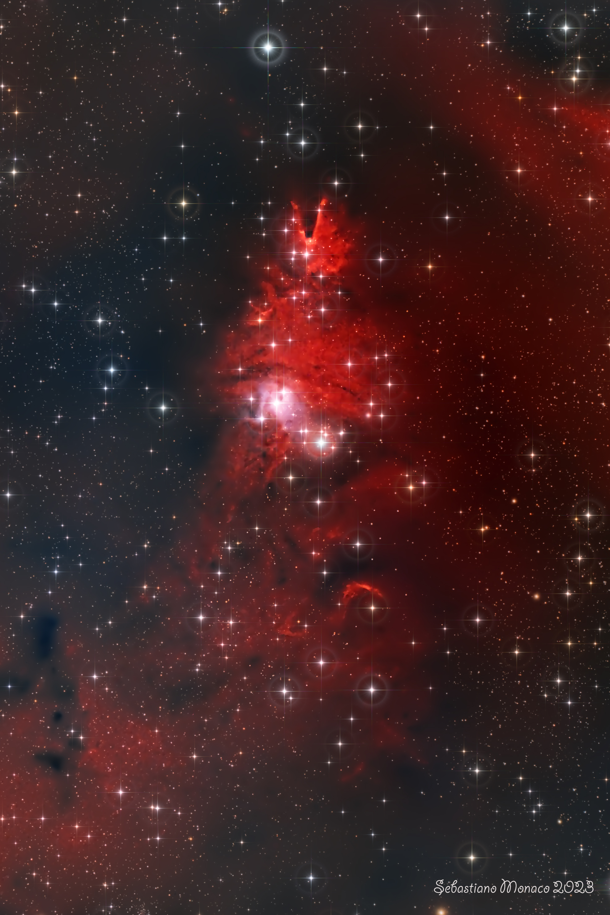 Nebulosa Cono e Ammasso albero di Natale