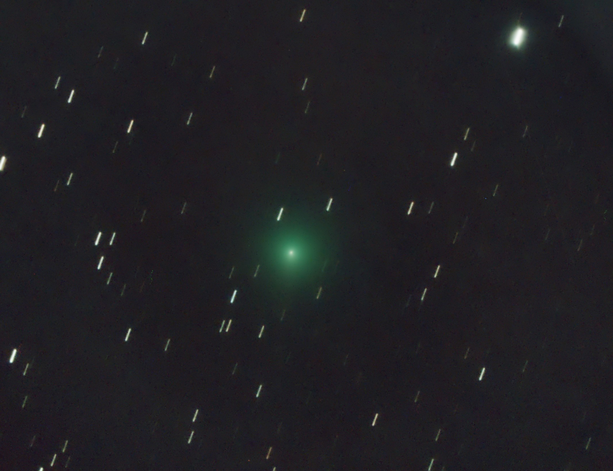 Cometa 62P/Tsuchinshan